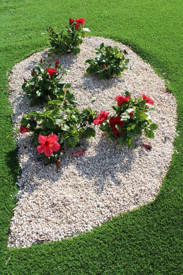 Floral Arrangement with White Gravel Stock Image - Image of patio ...