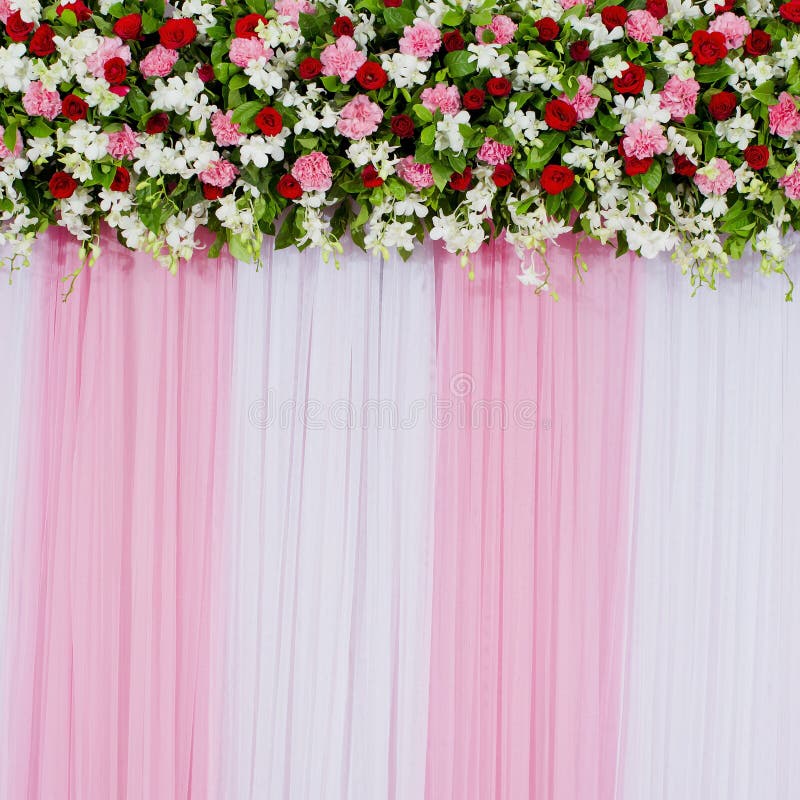 Colorful Flowers with Green Wall for Wedding Backdrop Stock Photo ...