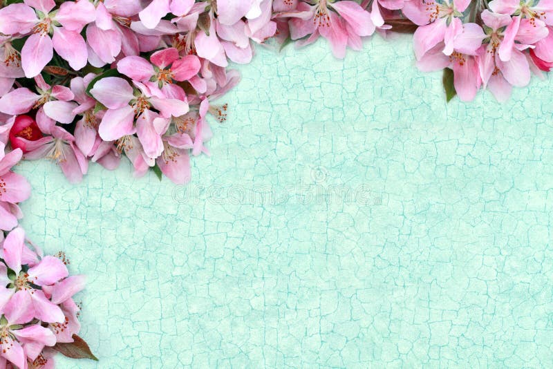 Floral Background stock photo. Image of abstract, flower 14318730