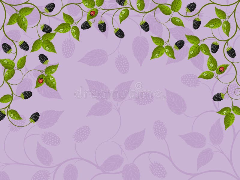 Floral background with blackberry