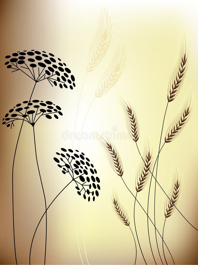 Floral background - Flowers & Grain ears