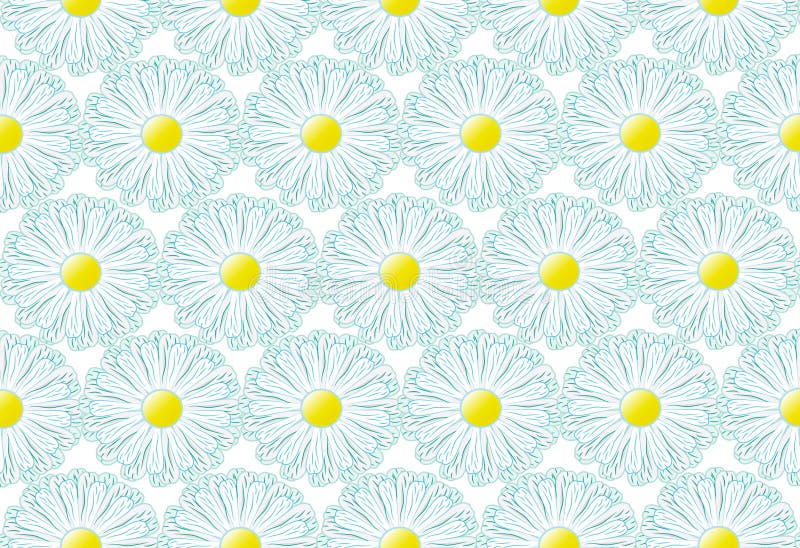 Floral background illustrations with white daisies. Floral background illustrations with white daisies
