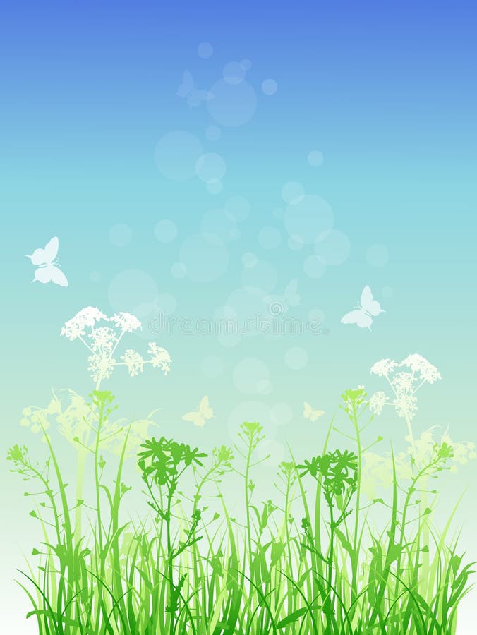 Floral Background Green Side Stock Illustration Illustration of