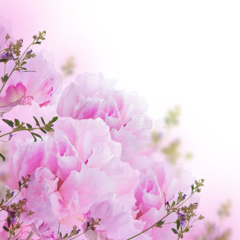 Floral Background of Roses and Lilies Stock Photo Image of design, blossom 41384522