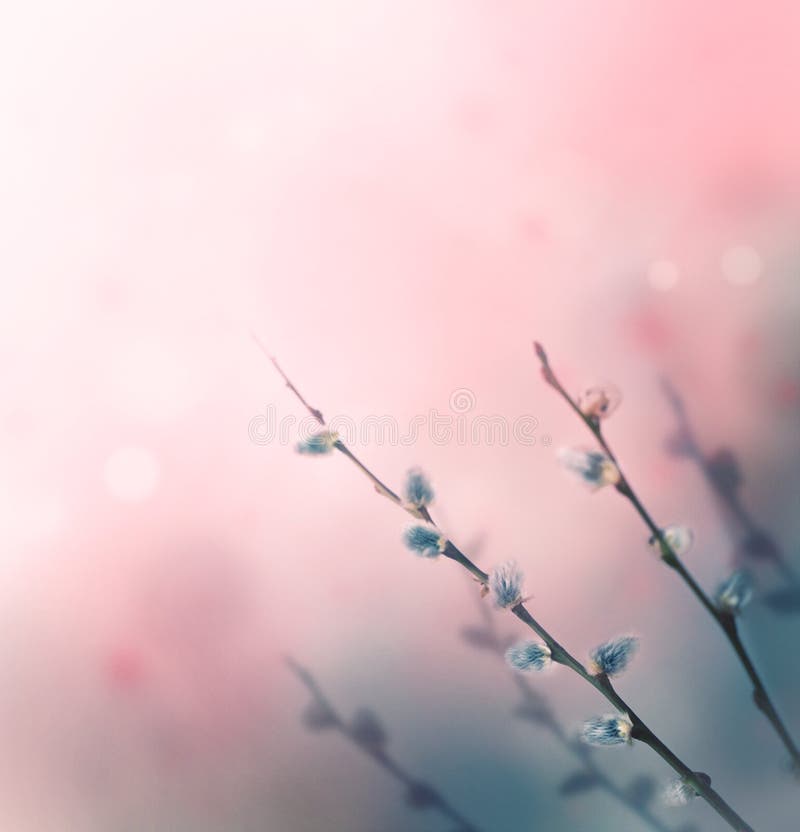 Floral background royalty free stock image Floral background royalty free stock image