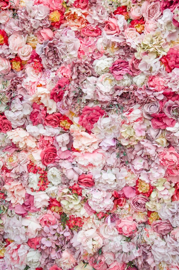 Floral Background. Texture of Flowers Stock Image Image of flower