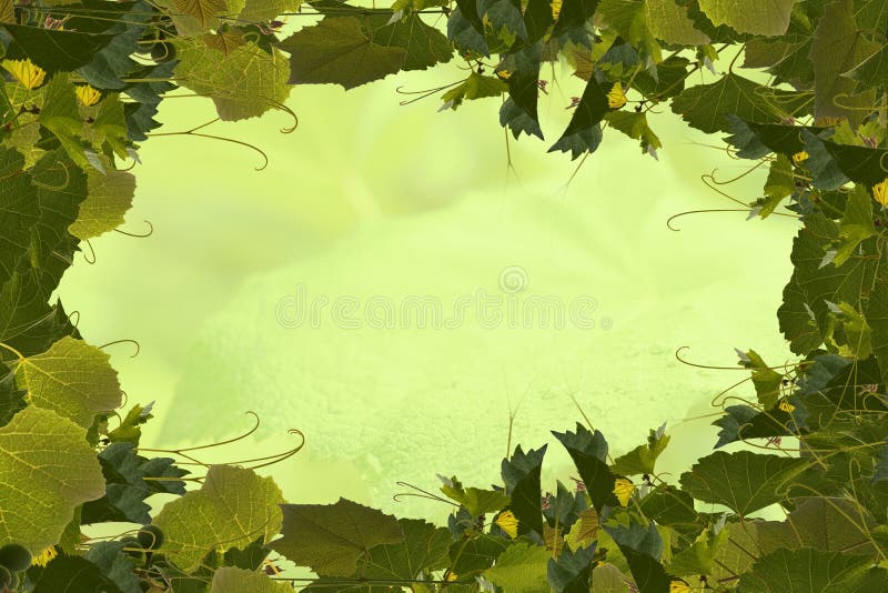 Floral backgrounds stock photo Floral backgrounds stock photo