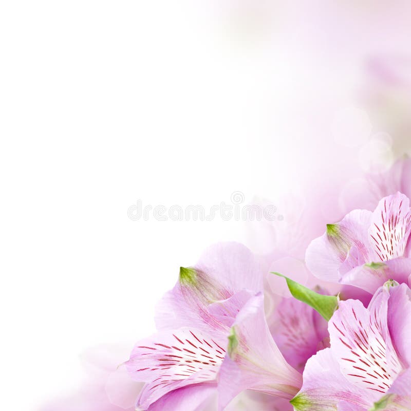 Floral border, blossom background