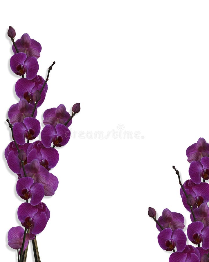Floral border Purple Orchids