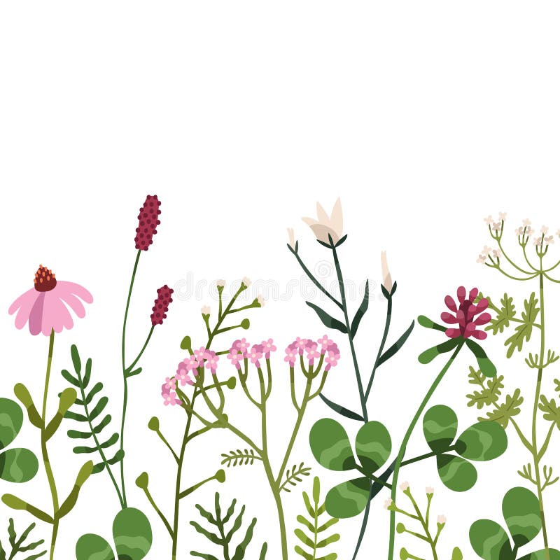 Floral border on square background. Botanical card with wild flowers and herbal plants. Backdrop with various delicate