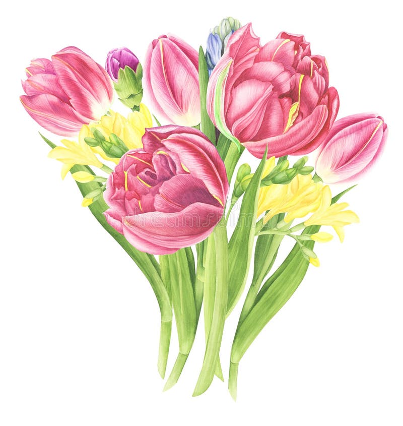 Bouquet of Pink Hyacinth and Tulips with Freesias Bouquet of Pink Hyacinth and Tulips with Freesias