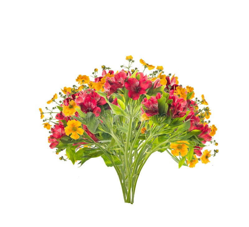 Floral Bunch of Red and Yellow Flowers,isolated Stock Image Image of