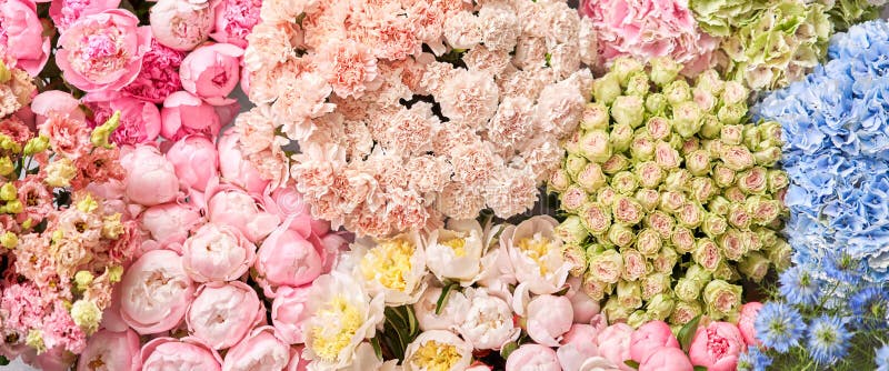 Floral Carpet or Wallpaper. Background of Mix of Flowers. Beautiful Flower for Catalog or Online Store Stock Image - Image of design, business: 186169295 Floral Carpet or Wallpaper. Background of Mix of Flowers. Beautiful Flower for Catalog or Online Store Stock Image - Image of design, business: 186169295
