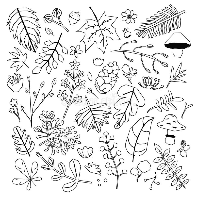 Outline hand drawn leaves and flowers illustrations
