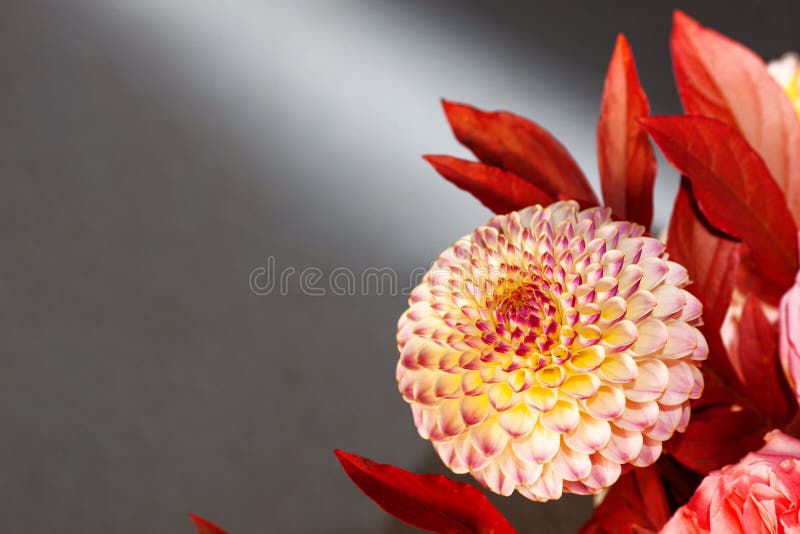 Floral composition of dahlia flowers, roses and autumn leaves.