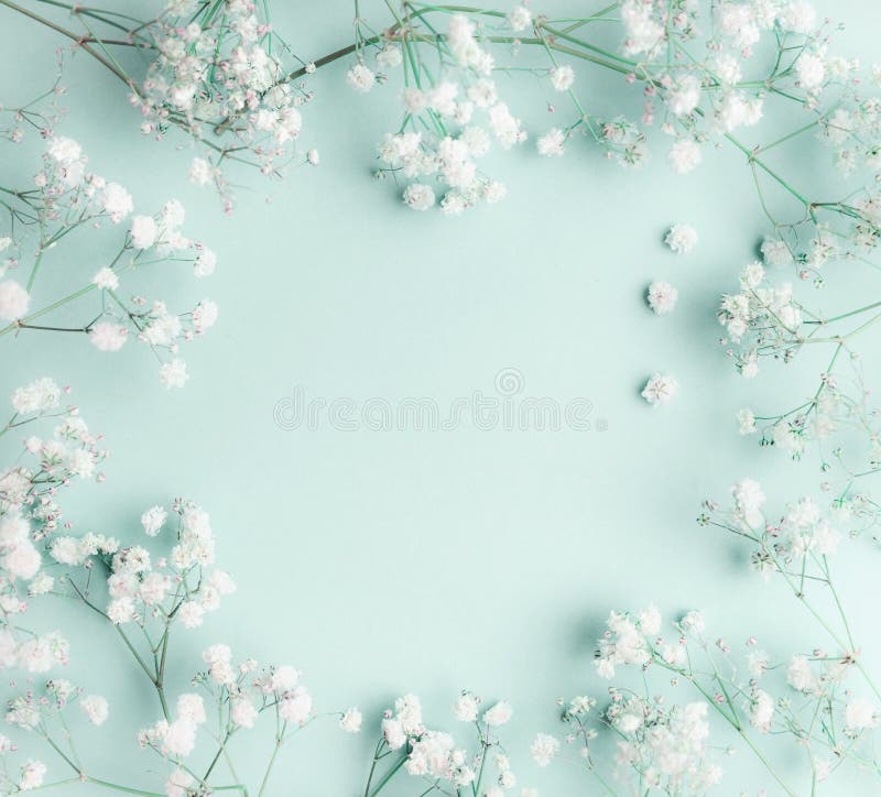 Floral composition with light, airy masses of small white flowers on turquoise blue background, top view, frame.
