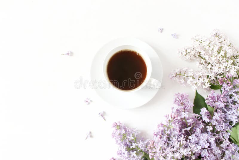 Compoziție florală alcătuită din flori frumoase de lila purpurie, pe fond alb de lemn, cu o ceașcă de cafea stock photo