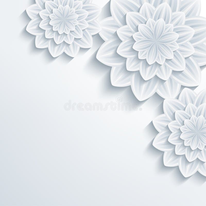 Floral Elegant Background With 3d Flower Chrysanthemum Stock Vector Illustration Of Element Flourish