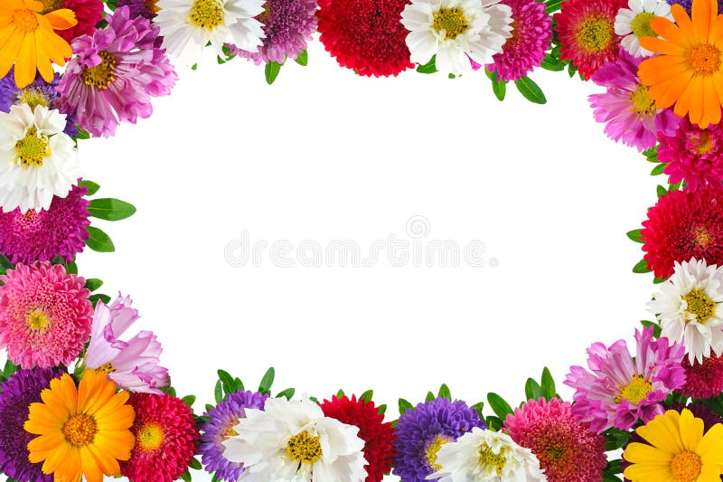 Floral frame