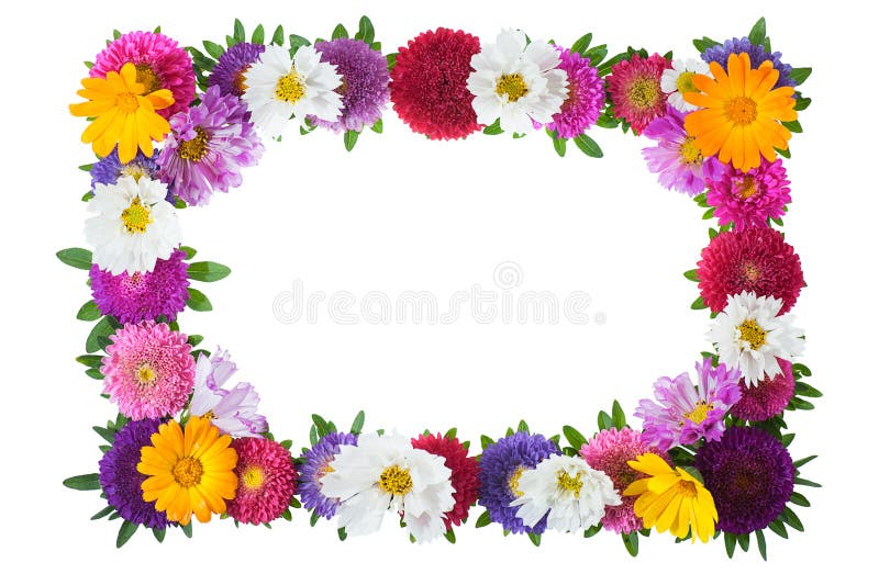 Floral frame