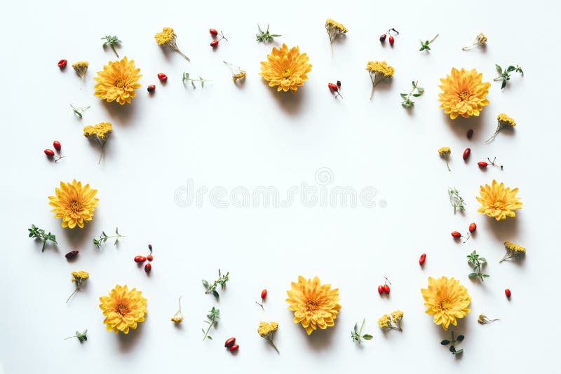 Frame With Yellow Flowers On White Background