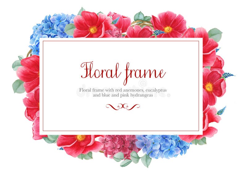 Floral frames with red anemones, pink and blue hydrangea and branches of eucalyptus, watercolor painting stock illustration Floral frames with red anemones, pink and blue hydrangea and branches of eucalyptus, watercolor painting stock illustration