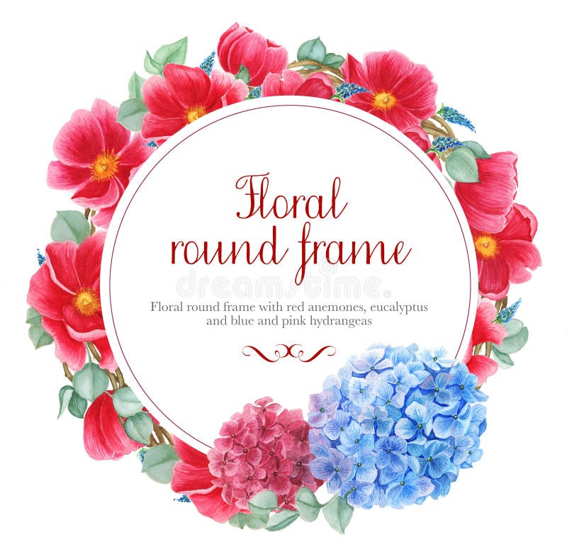 Floral frames with red anemones, pink and blue hydrangea and branches of eucalyptus, watercolor painting stock illustration Floral frames with red anemones, pink and blue hydrangea and branches of eucalyptus, watercolor painting stock illustration