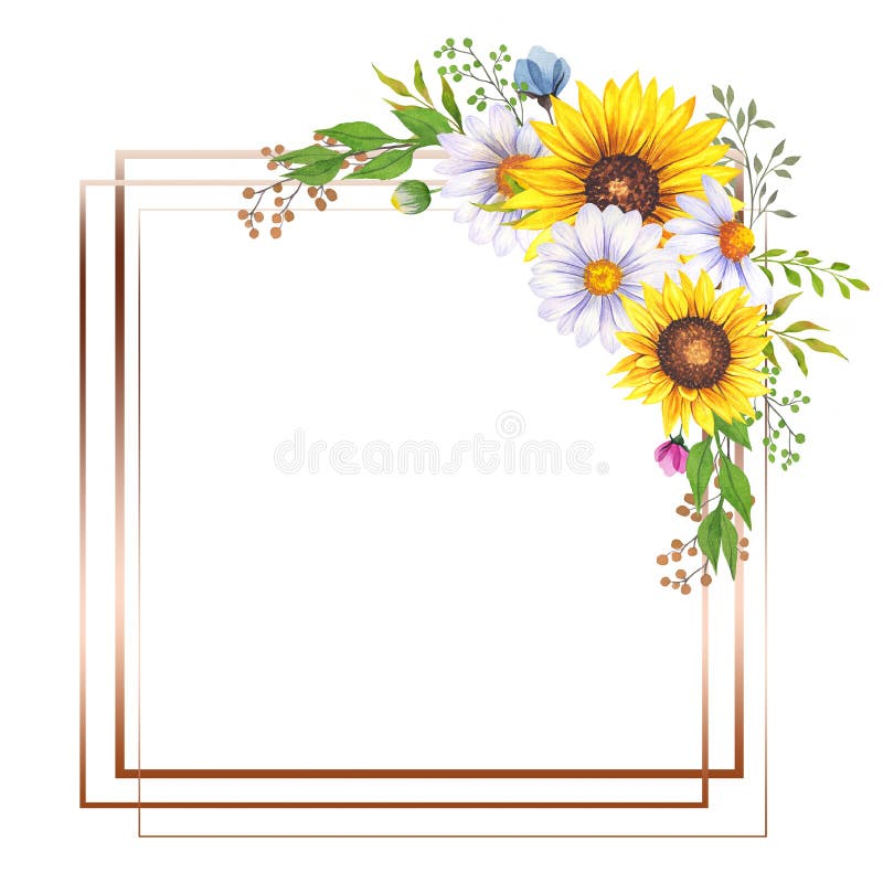Floral Frames with Wildflowers and Leaves. Watercolor sunflower frame. White background. Watercolor floral. Botanical Drawing.