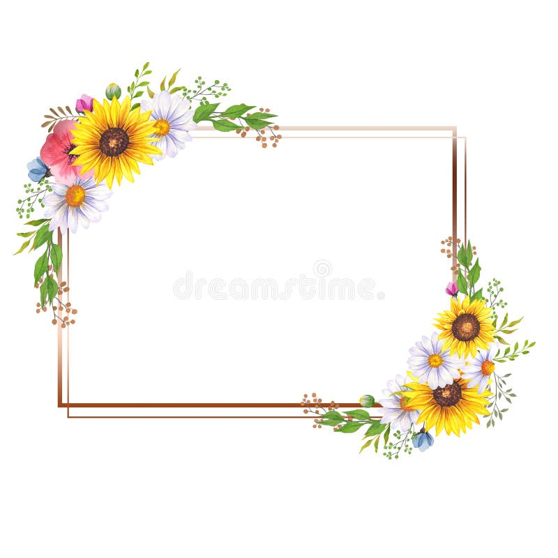 Floral Frames with Wildflowers and Leaves. Watercolor sunflower frame. White background. Watercolor floral. Botanical Drawing.