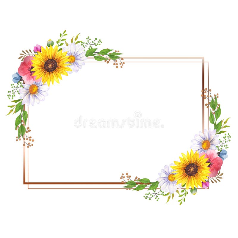 Floral Frames with Wildflowers and Leaves. Watercolor sunflower frame. White background. Watercolor floral. Botanical Drawing.