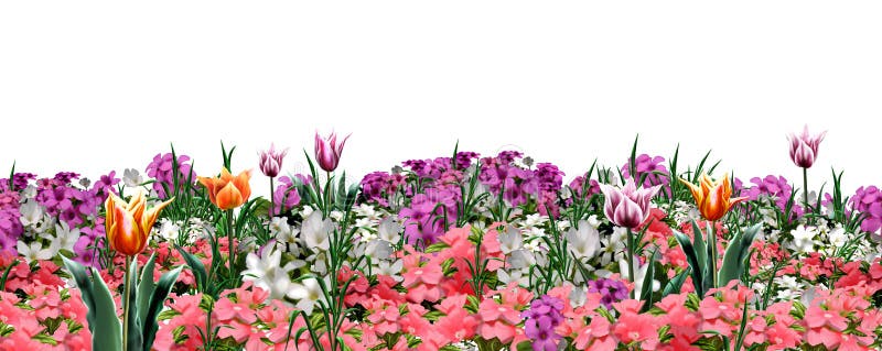 Floral garden web banner royalty free illustration Floral garden web banner royalty free illustration