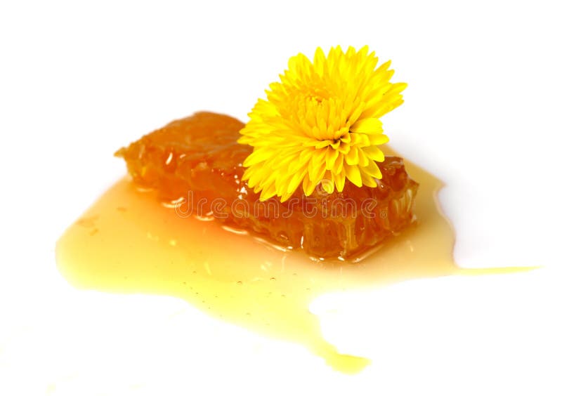 Floral Honey in in and Flowers Stock Image Image of