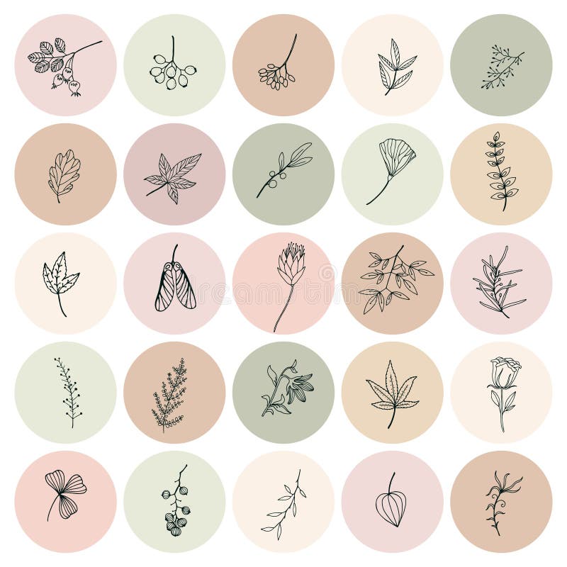 Floral insta highlight covers neutral social Vector Image