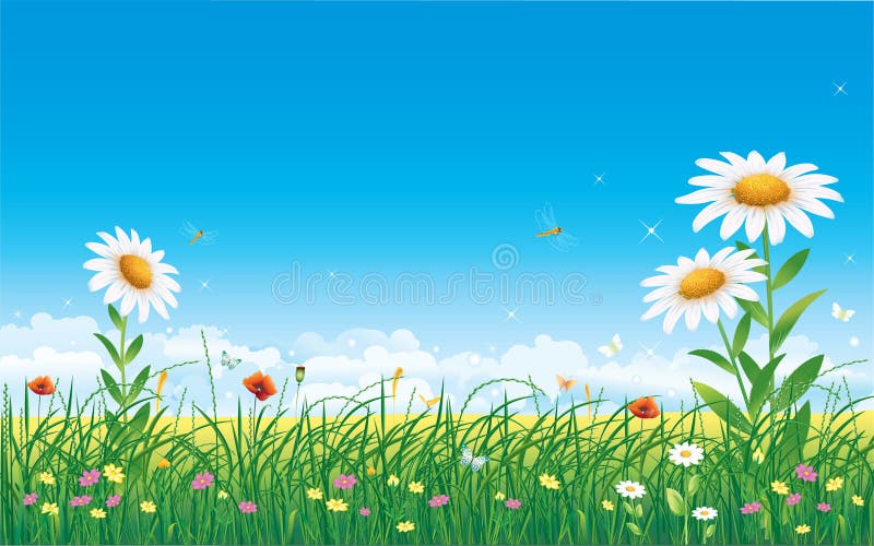 Floral meadow stock vector. Illustration of growth, grass - 9689513