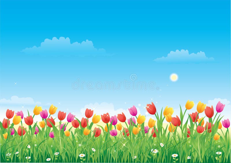 Floral meadow. Tulips stock vector. Illustration of landscaped - 8803936