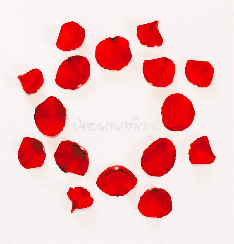 Floral ornament from petals of red roses on a white background royalty free stock photo Floral ornament from petals of red roses on a white background royalty free stock photo