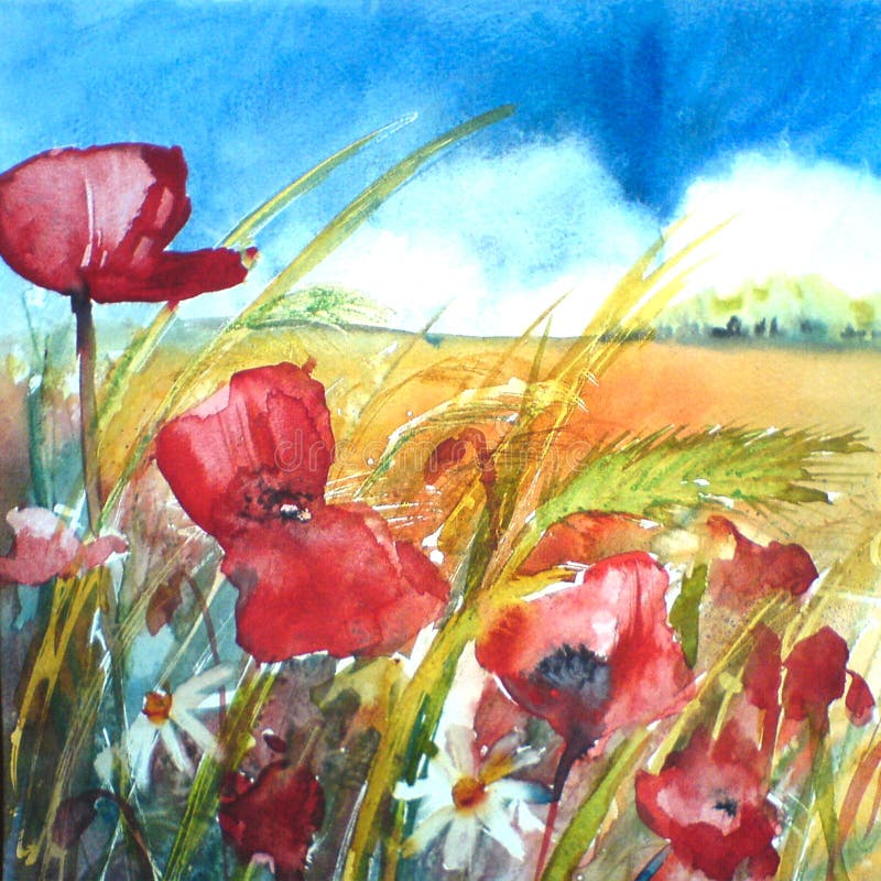 Floral painted landscape watercolour poppy painting illustration with blue sky and corn background Ink and watercolor painting. stock images Floral painted landscape watercolour poppy painting illustration with blue sky and corn background Ink and watercolor painting. stock images