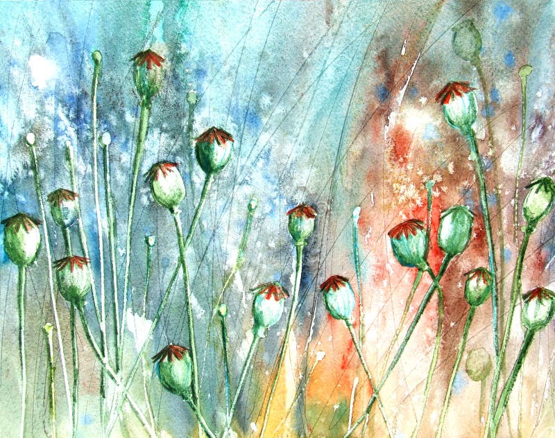 Floral painted poppy seed head illustration on  background. Ink and watercolor painting.