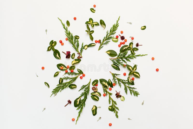 Floral round frame with red berries and yellow-green leaves