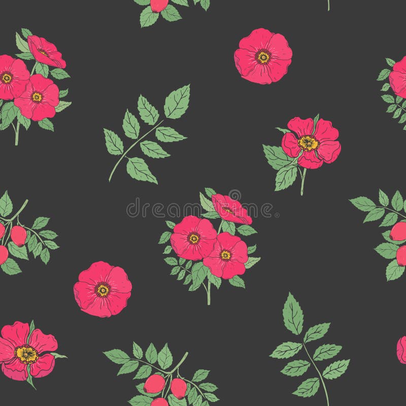 Floral seamless pattern with elegant dog rose flowers, stems and leaves hand drawn in retro style on black background