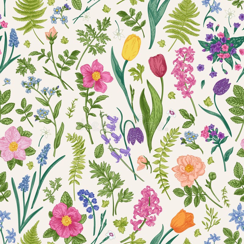 Floral seamless pattern with garden and meadow flowers and herbs.