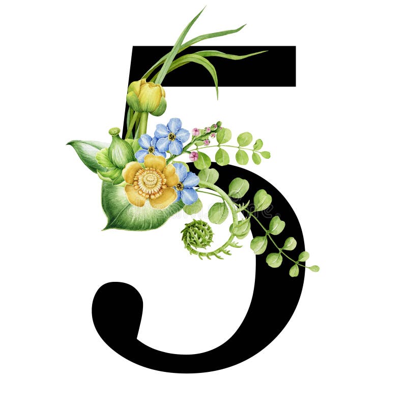 Download Number Five Flower Numbers Stock Illustrations 140 Number Five Flower Numbers Stock Illustrations Vectors Clipart Dreamstime