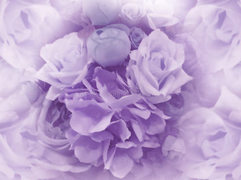 vintage purple flower background