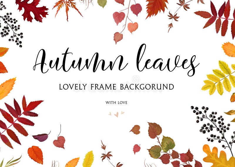 Σχεδιασμός κάρτας vector σε στυλ ακουαρέλας με λουλούδια, φθινοπωρινό περίγραμμα, πλαίσιο: πολύχρωμα πορτοκαλί, κίτρινα, καφέ και απεικόνιση αποθεμάτων