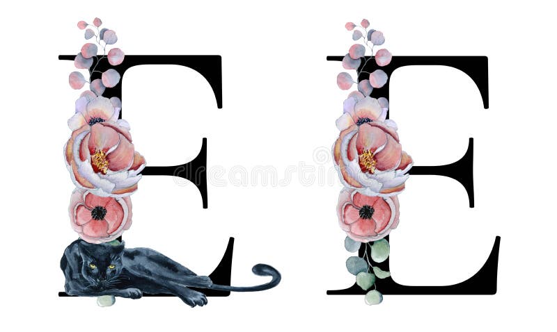 Floral Watercolor Alphabet. Monogram Initial Letter M Design With Hand  Drawn Peony And Anemone Flower And Black Panther For Wedding Invitation,  Cards, Logos Stock Photo, Picture and Royalty Free Image. Image 101737263.