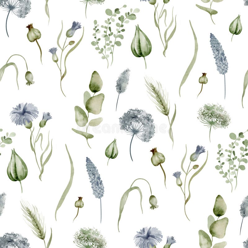 Floral watercolor seamless pattern. Background wildflowers on a white background.