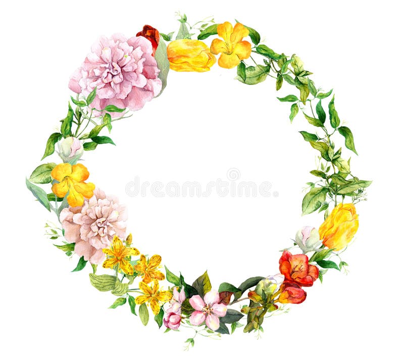 Floral wreath - blooming flowers, field grass. Watercolor round border royalty free illustration