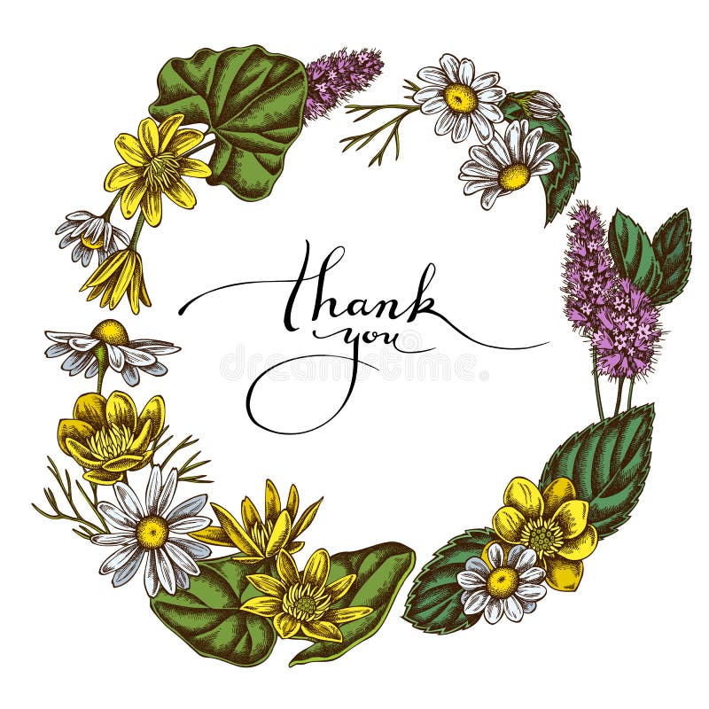 Floral Wreath of colored celandine, chamomile, peppermint vector illustration Floral Wreath of colored celandine, chamomile, peppermint vector illustration