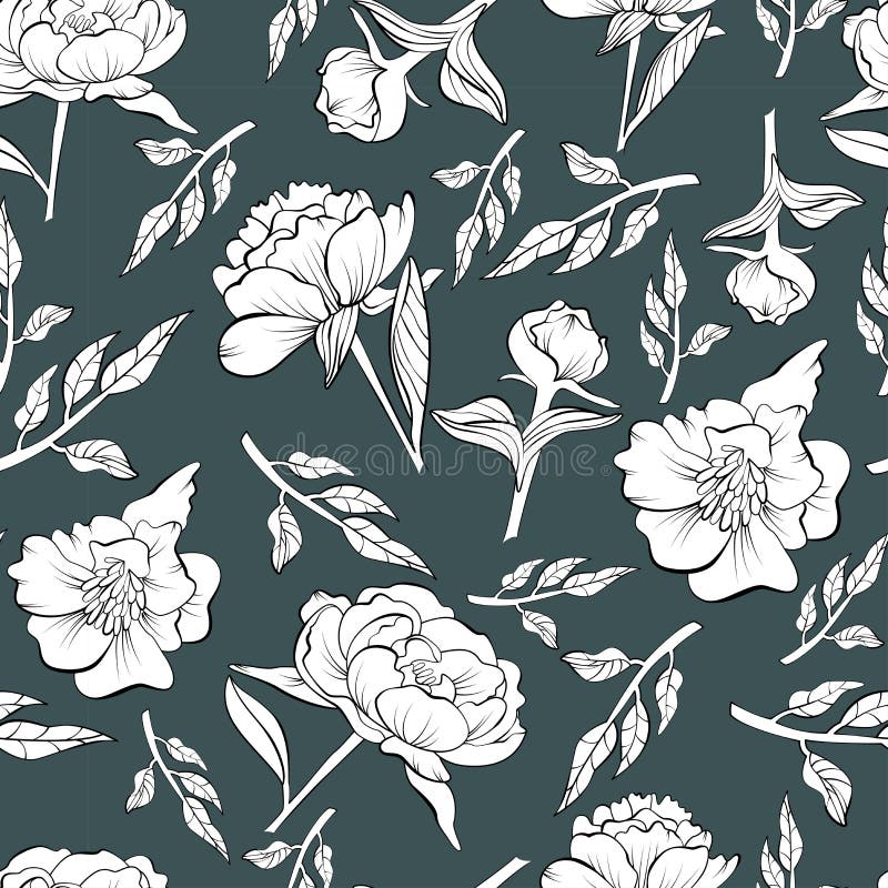 Floral άνευ ραφής peony σχέδιο που σύρεται στο σκίτσο διανυσματική απεικόνιση Floral άνευ ραφής peony σχέδιο που σύρεται στο σκίτσο διανυσματική απεικόνιση