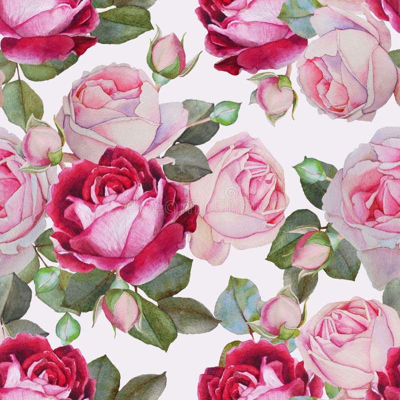 Floral άνευ ραφής σχέδιο με τα ρόδινα και πορφυρά τριαντάφυλλα watercolor ελεύθερη απεικόνιση δικαιώματος